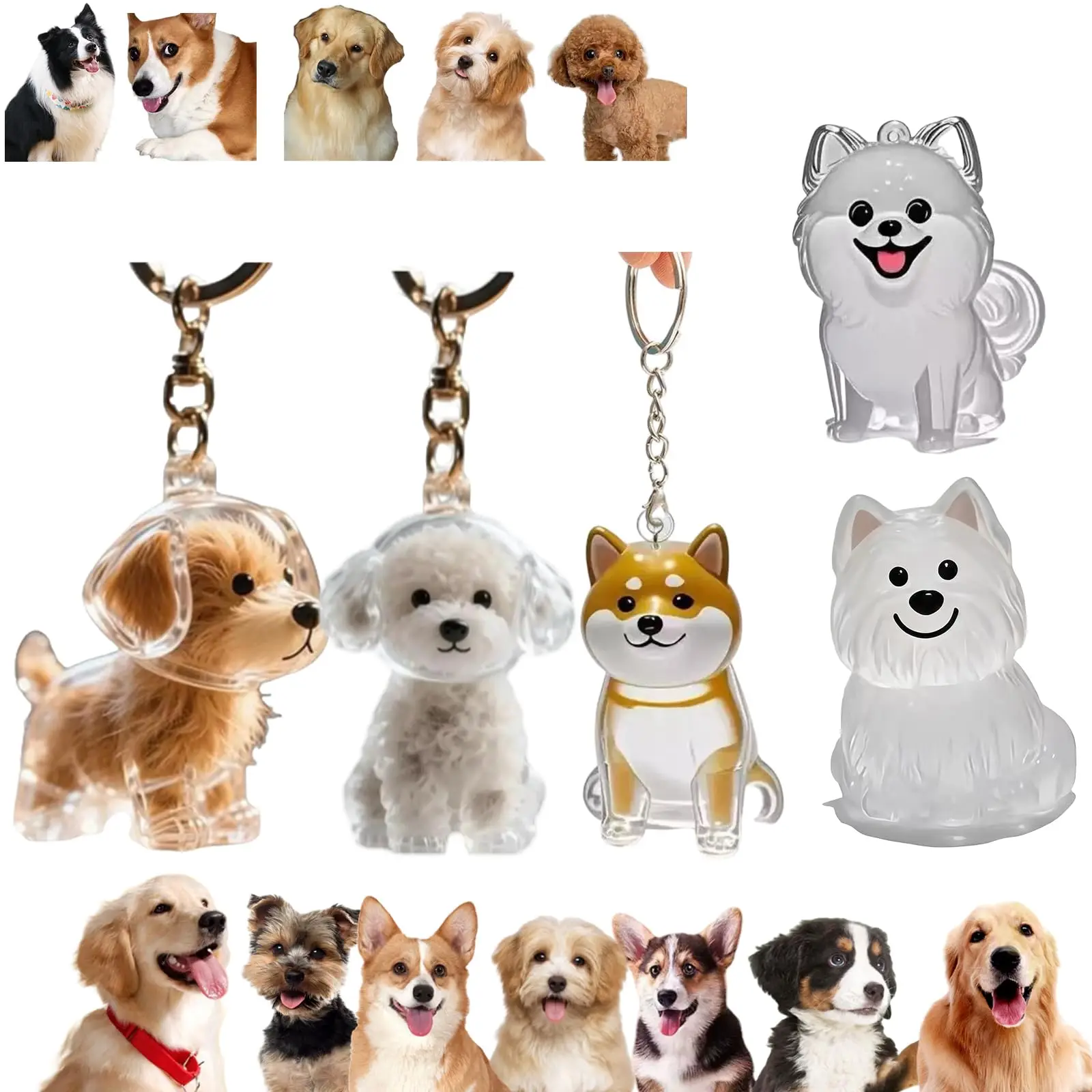 Pet Supplies Outlet - Transparent Pet Memorial Pendant Keychain Lovely