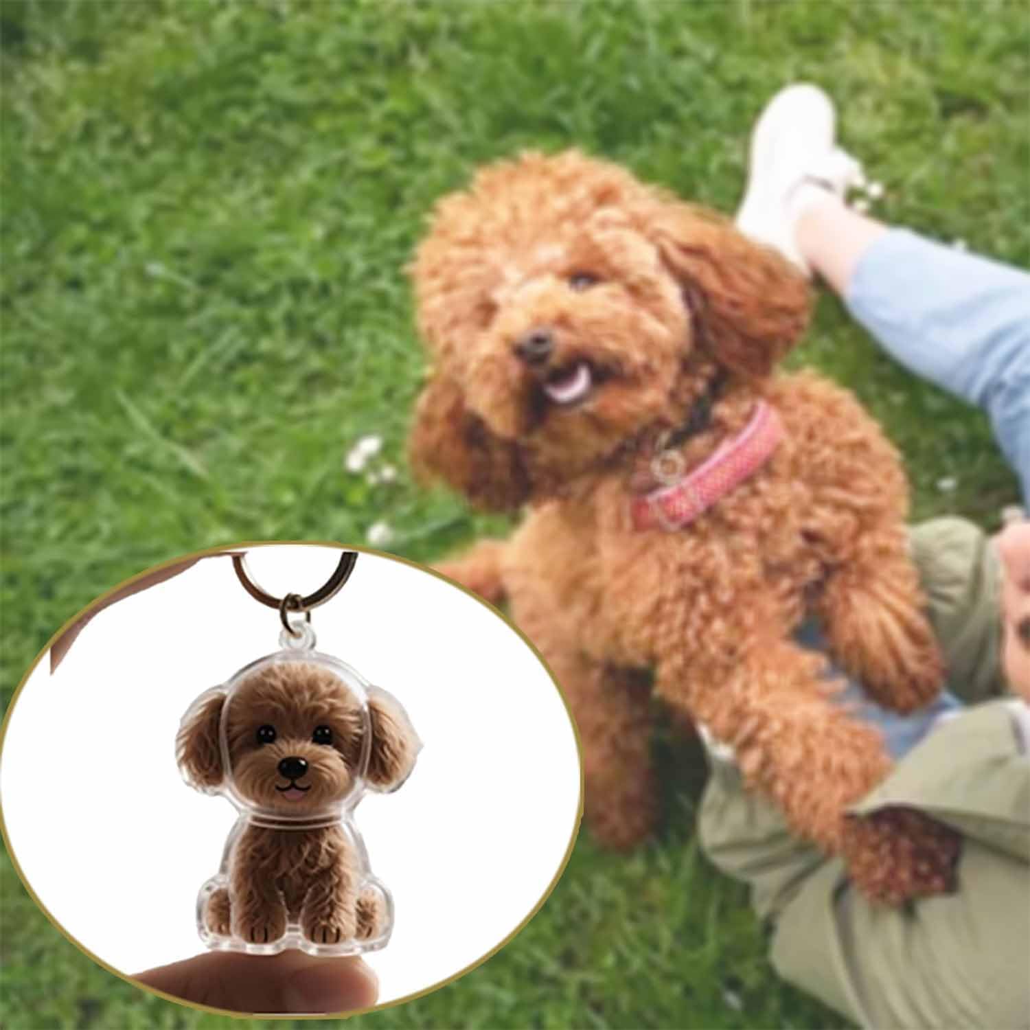 Transparent Pet Memorial Penda - огляд і ціна Pet Supplies Outlet