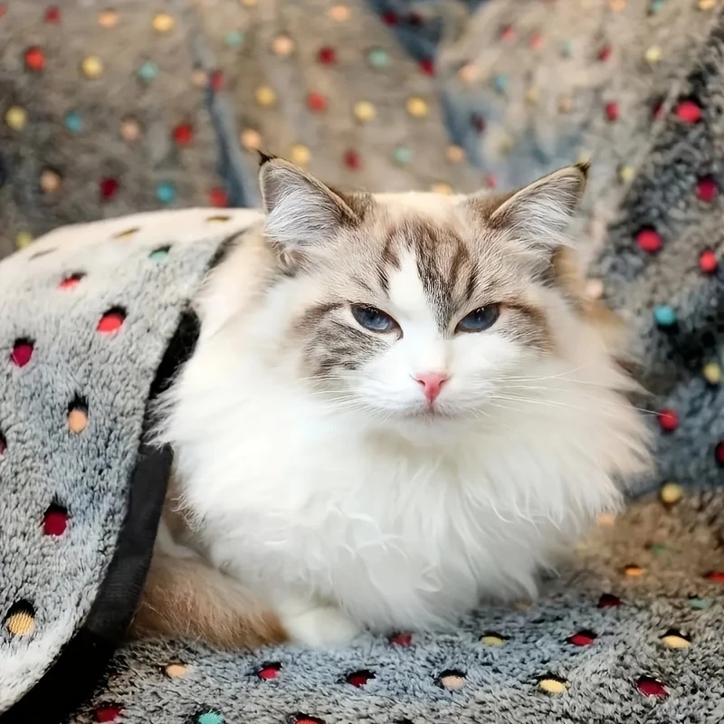3PCS Soft Fluffy Pet Blanket C - огляд і ціна Pet Supplies Outlet