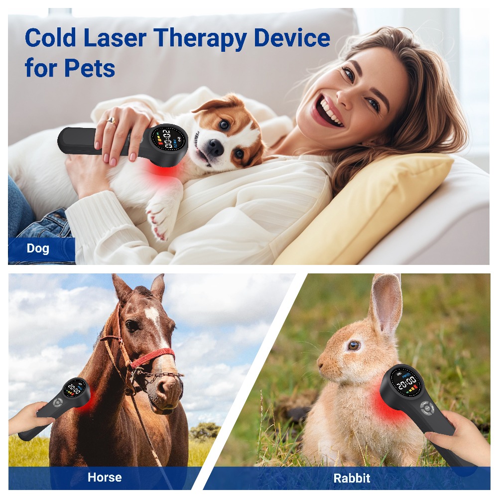 Professional 1760mW Cold Laser - огляд і ціна Pet Supplies Outlet