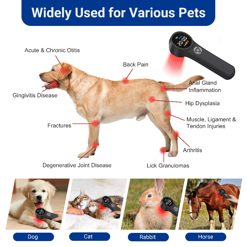 Professional 1760mW Cold Laser - огляд і ціна Pet Supplies Outlet