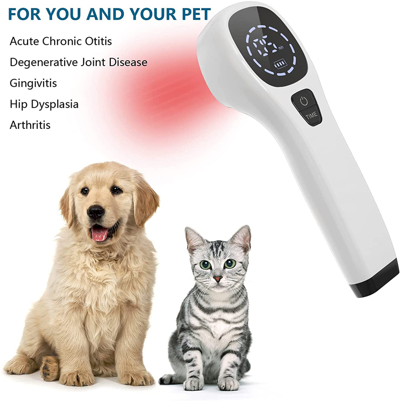 2x808nm Cold Laser Therapy Dev - огляд і ціна Pet Supplies Outlet